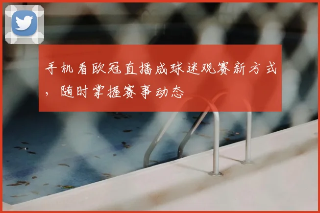 手机看欧冠直播成球迷观赛新方式，随时掌握赛事动态
