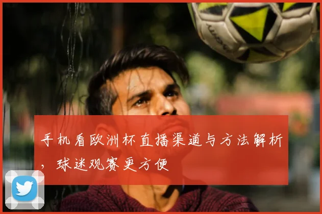 手机看欧洲杯直播渠道与方法解析,球迷观赛更方便