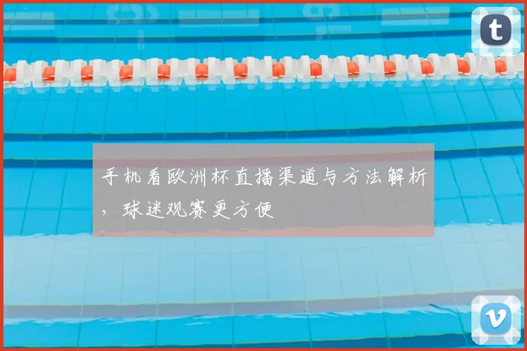 手机看欧洲杯直播渠道与方法解析,球迷观赛更方便